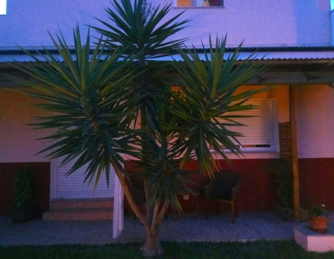 Casablanca El Petit Hotel Deltebre Eksteriør bilde