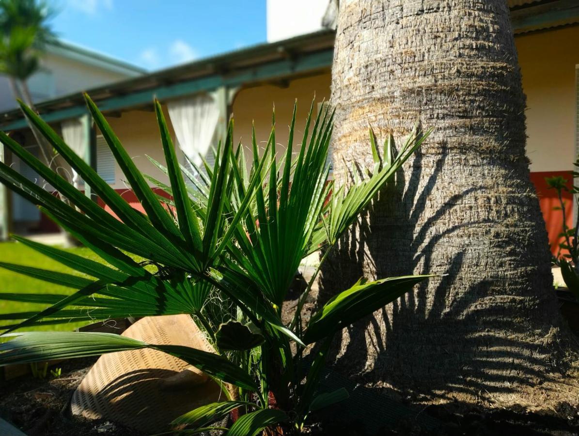 Casablanca El Petit Hotel Deltebre Eksteriør bilde
