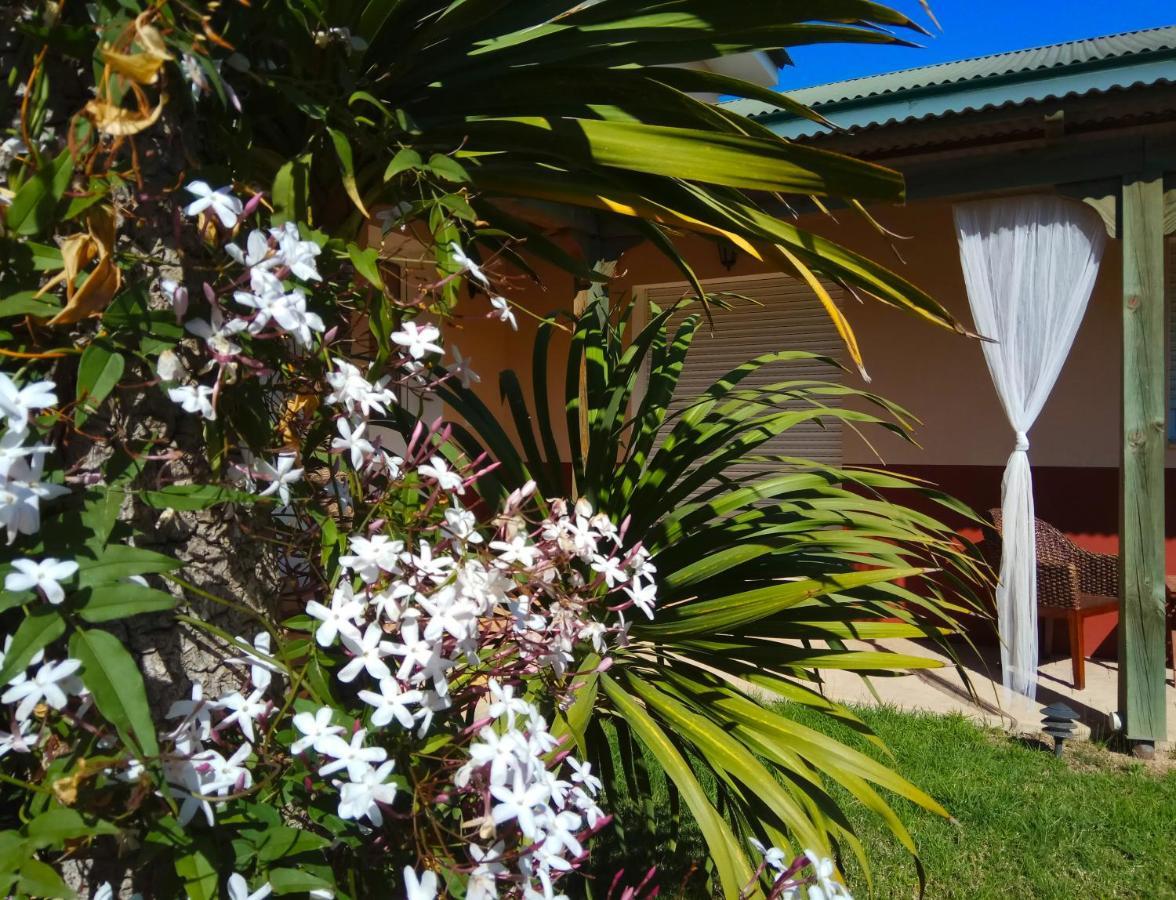 Casablanca El Petit Hotel Deltebre Eksteriør bilde